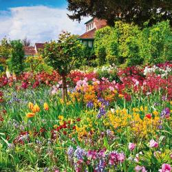 Cottage Garden/Bauerngarten 2025