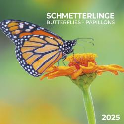 Schmetterlinge 2025