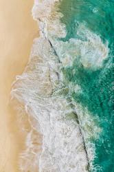 Manolo Ty: Tropics & Traditions - gebunden