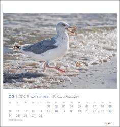 Watt´n Meer Postkartenkalender 2025 - Die Natur im Nationalpark