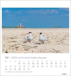 Watt´n Meer Postkartenkalender 2025 - Die Natur im Nationalpark