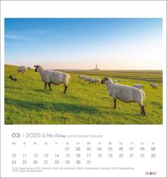 St. Peter-Ording und die Halbinsel Eiderstedt Postkartenkalender 2025 - und die Halbinsel Eiderstedt