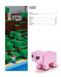 Joachim Klang: Minecraft - Tipps für Kids - Taschenbuch