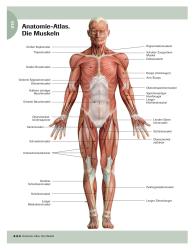 Stretching für Senioren - Taschenbuch