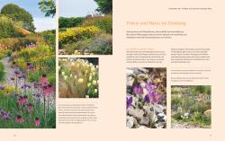 Buchcover mit dem Titel 'Natur-Präriegärten'. Bild von bunten Blumen und Pflanzen im Garten.