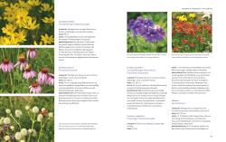 Buchcover mit dem Titel 'Natur-Präriegärten'. Bild von bunten Blumen und Pflanzen im Garten.