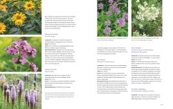 Buchcover mit dem Titel 'Natur-Präriegärten'. Bild von bunten Blumen und Pflanzen im Garten.