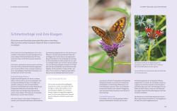 Buchcover mit dem Titel 'Natur-Präriegärten'. Bild von bunten Blumen und Pflanzen im Garten.