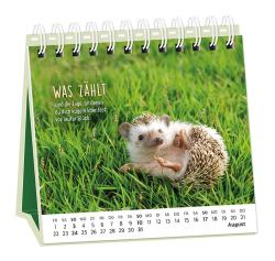 Tischkalender 2025 Happymacher