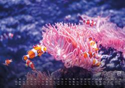 Sealife - verborgene Tiefen - 2025 - Kalender DIN A2