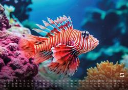 Sealife - verborgene Tiefen - 2025 - Kalender DIN A2