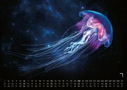 Sealife - verborgene Tiefen - 2025 - Kalender DIN A2