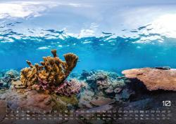 Sealife - verborgene Tiefen - 2025 - Kalender DIN A2