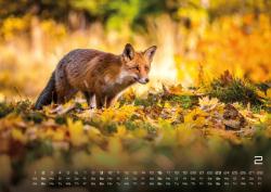 Waldtiere - Heimische Waldbewohner - Der Tierkalender - 2025 - Kalender DIN A2