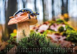 Waldtiere - Heimische Waldbewohner - Der Tierkalender - 2025 - Kalender DIN A2