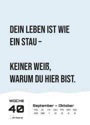 DEMOTIVATION 2025 - dein demotivierender Begleiter - Wochenkalender DIN A6