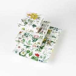 Pepin van Roojen: Flora - Taschenbuch