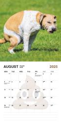 Kackende Hunde - Der Pooping Dogs Kalender 2025