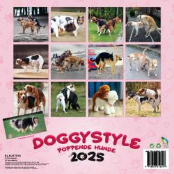 Poppende Hunde Kalender 2025 - witzig, lustig, humorvoll