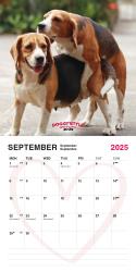 Poppende Hunde Kalender 2025 - witzig, lustig, humorvoll