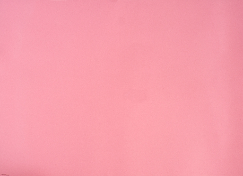 FOLIA Fotokarton 50 x 70 cm rosa