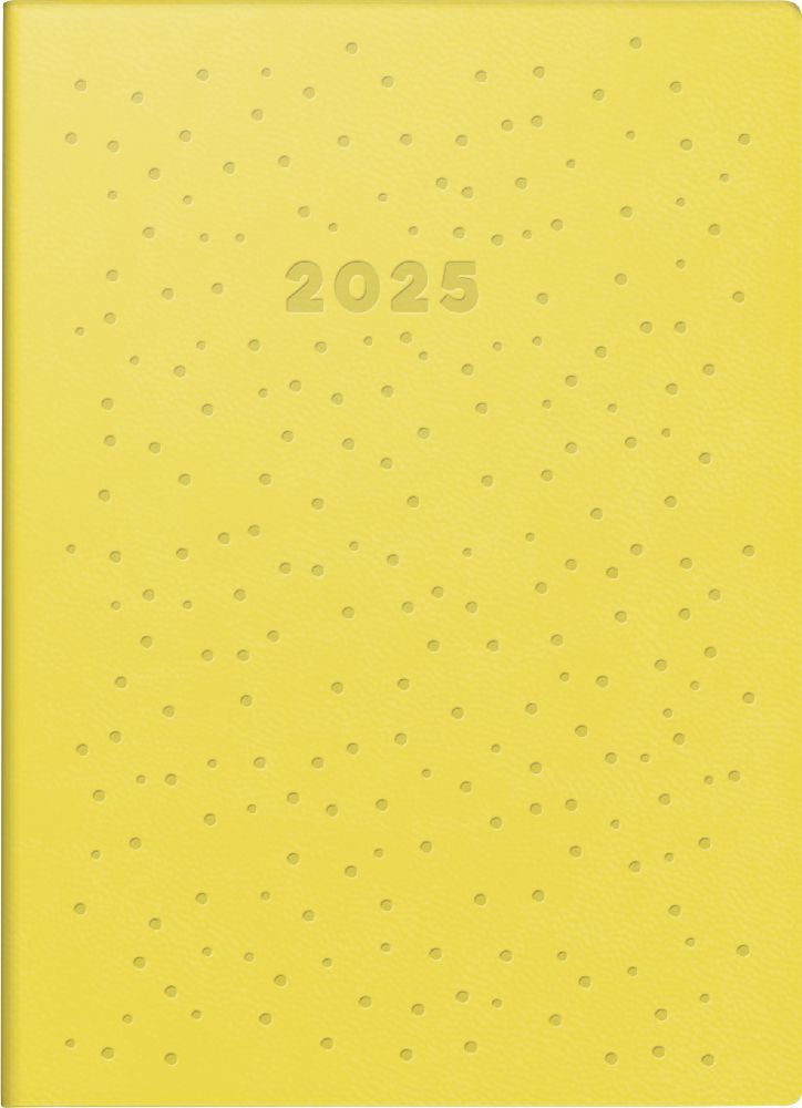 Taschenkalender Modell Technik S (2025) Dots