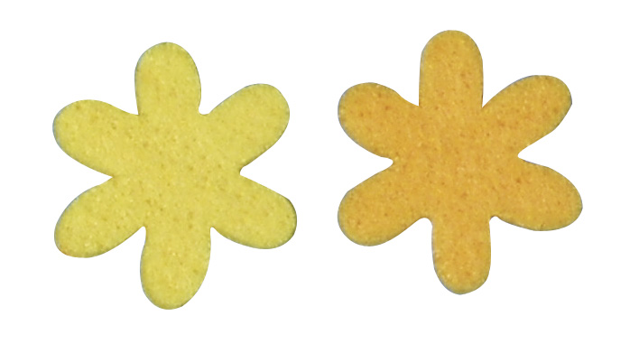Zwei gelbe Blütenformen. Links hellgelb, rechts etwas dunkler. Beide haben fünf Blütenblätter.