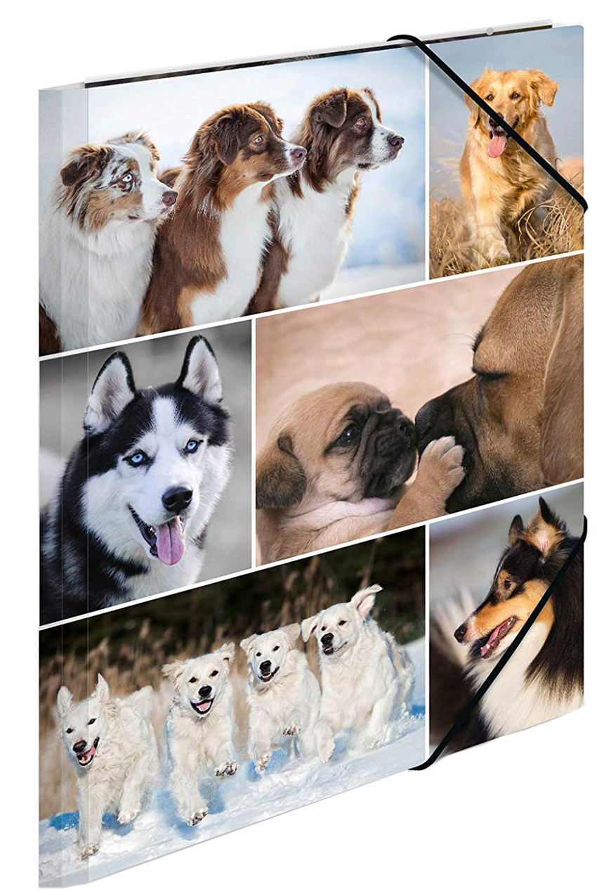 Ein Ordner mit Bildern von verschiedenen Hunden. Darunter sind Welpen und spielende Hunde in der Natur.