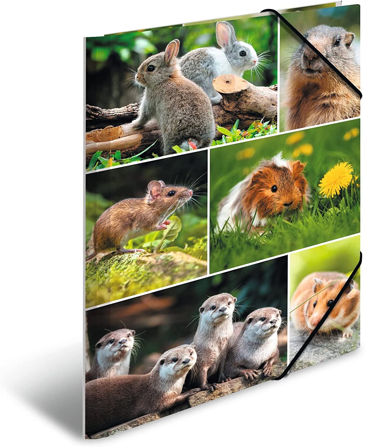 Ordner mit Bildern von kleinen Tieren. Oben: zwei Kaninchen auf einem Baumstamm. Mitte: eine Maus, ein Meerschweinchen und eine Dandelionblume. Unten: eine Gruppe von Ottern.