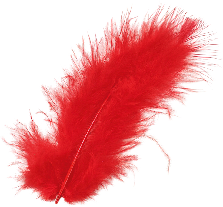 rote Feder, flauschig und lang. Sie hat eine lebendige Farbe.