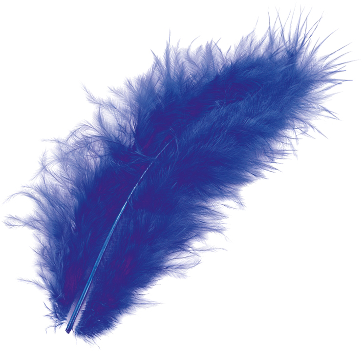 Eine große, flauschige Feder in Blau. Sie hat eine weiche Textur und ist leicht gebogen.