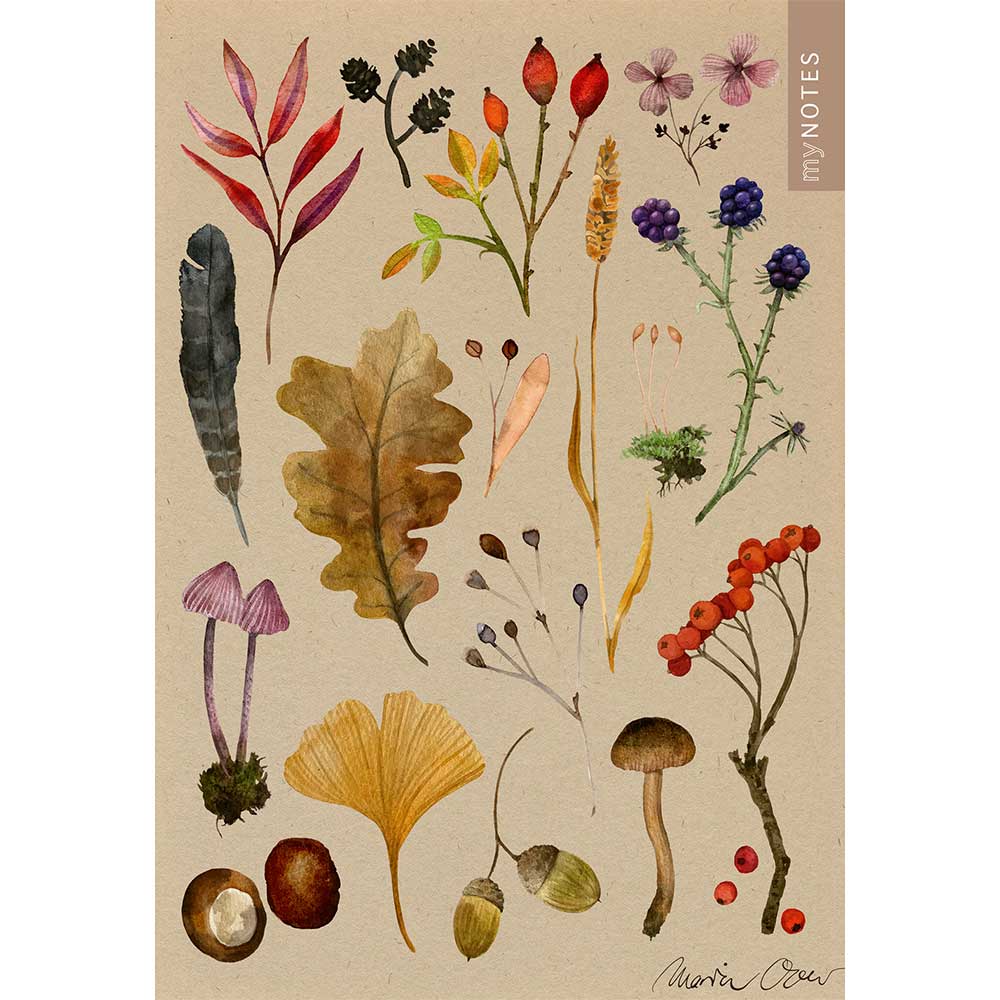 Illustration von verschiedenen Pflanzen und Pilzen. Aquarellstil auf braunem Hintergrund.