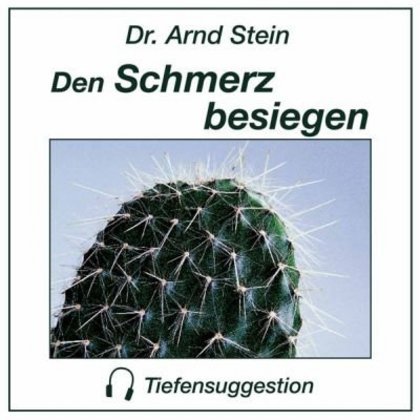 Arnd Stein: Den Schmerz besiegen, 1 CD-Audio - CD