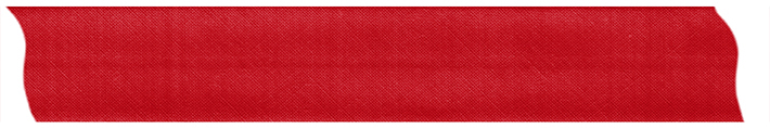 BEALENA Schrägband Uni 2,5 m x 19 mm rot