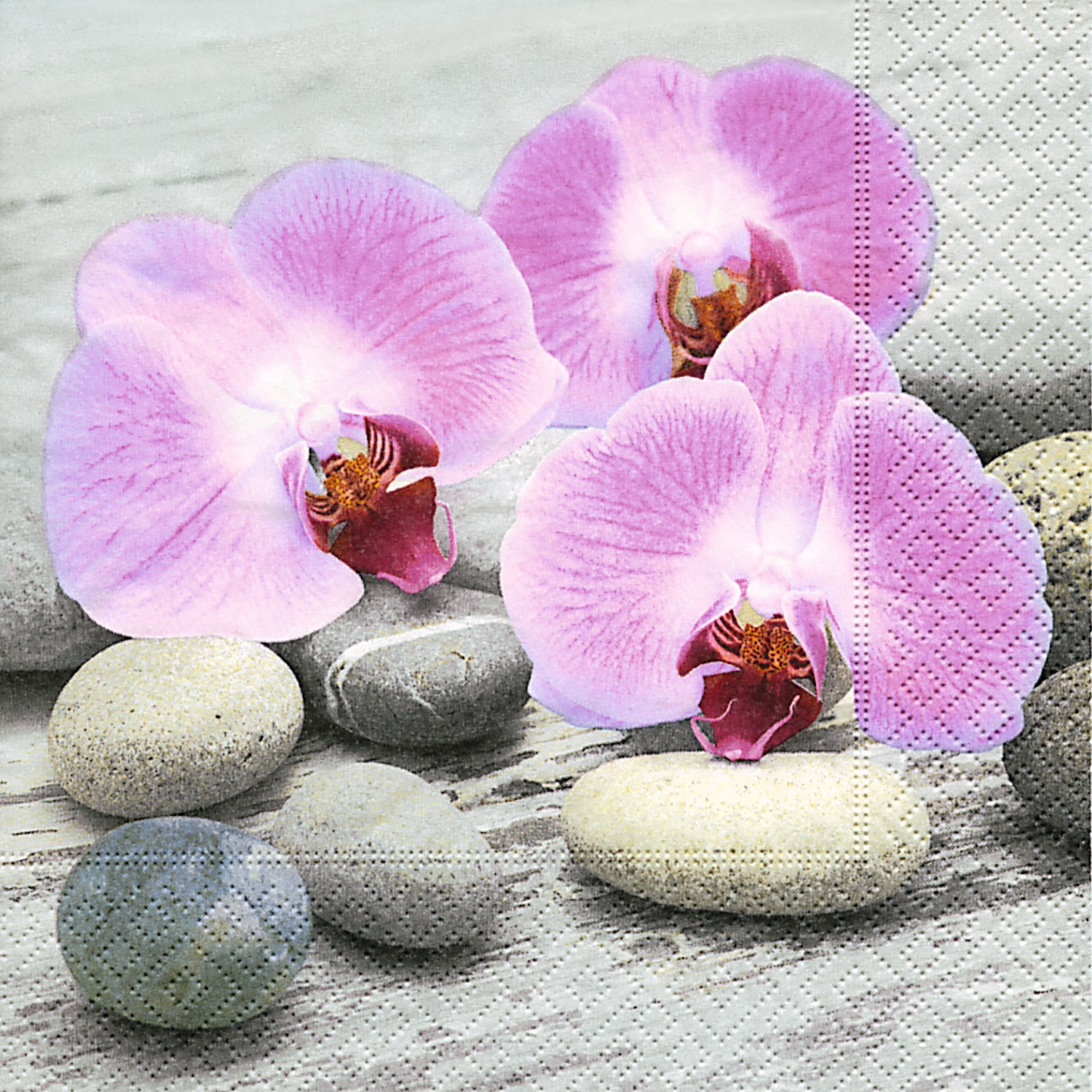 Servietten Orchidee 33 x 33 cm 20 Stück rosa