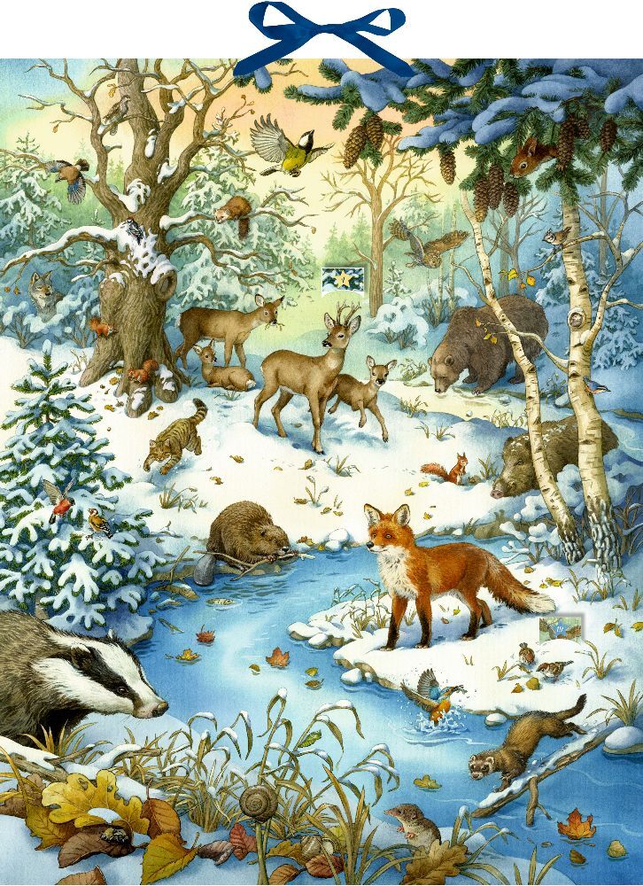 Zettel-Adventskalender - Die Tiere im Winterwald und ihr geheimes Leben