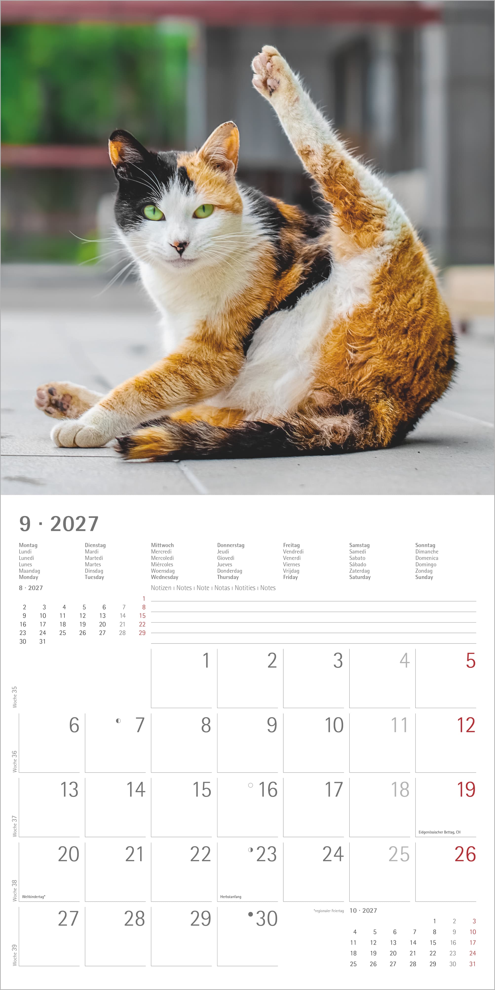 Funny Cats 2027