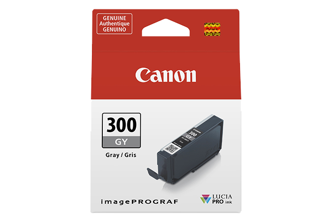 Canon Ink grey