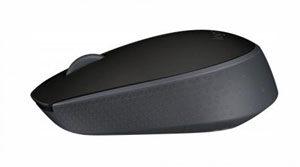 Logitech Maus M171 schwarz