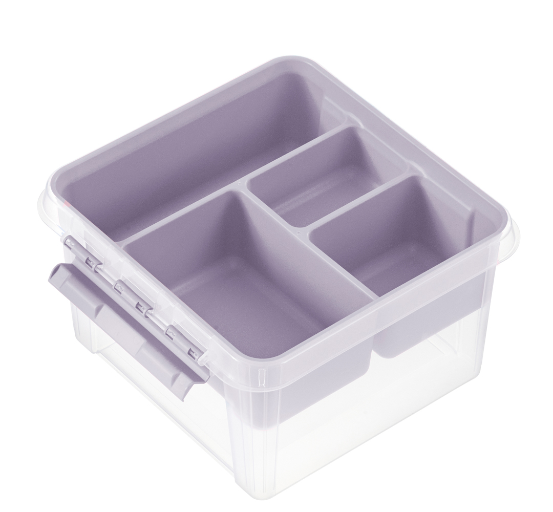 Transparente Box mit lila Einsätzen. Unterteilt in mehrere Fächer.