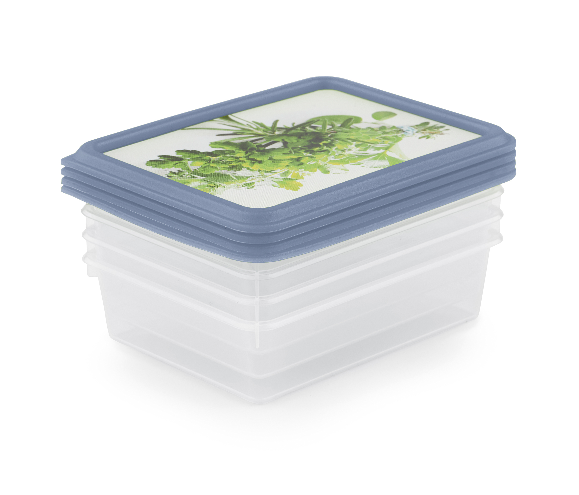 Gefrierdosen-Set Kräuter 4 x 200 ml