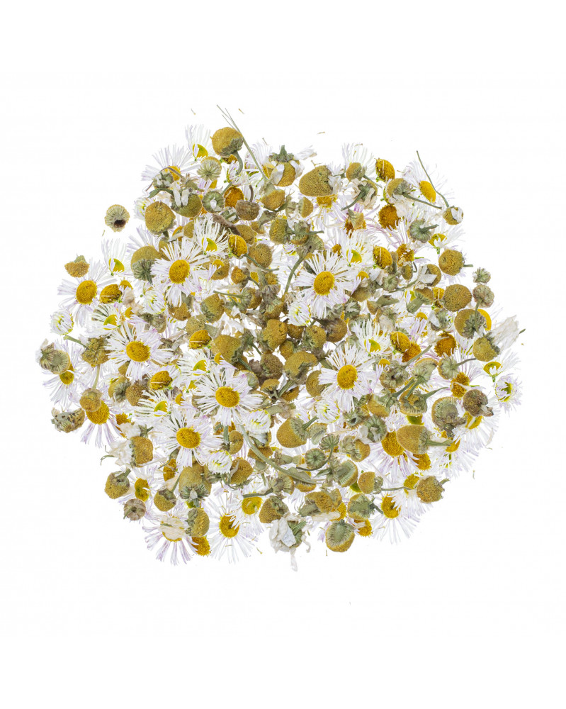 Getrocknete Blumenmischung mit weißen und gelben Blüten. Sie sind gleichmäßig verteilt.