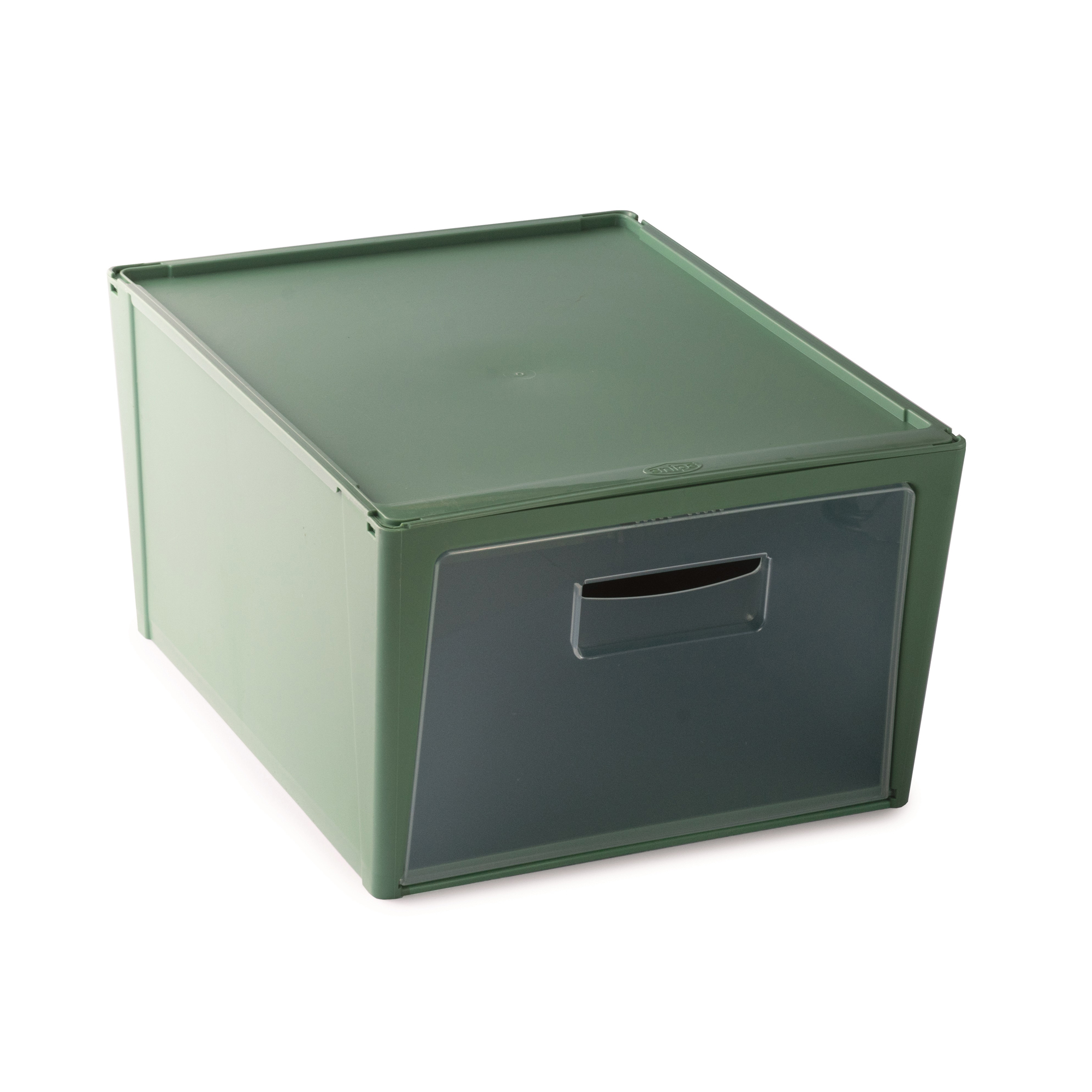 Grüne Aufbewahrungsbox mit einem transparenten Frontfenster. Die Box hat einen Deckel und einen Griff.