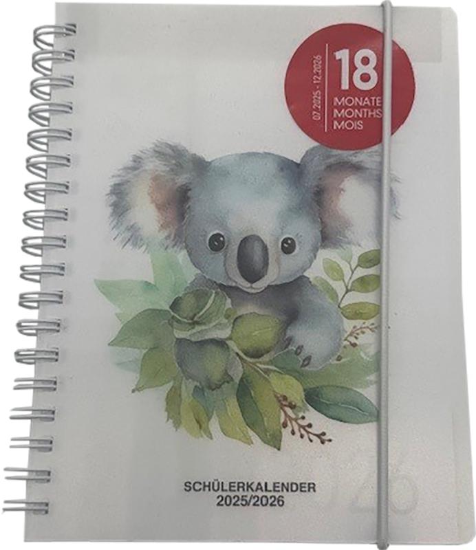 Sch??lerkalender A5 Koala 2025/2026 wei??