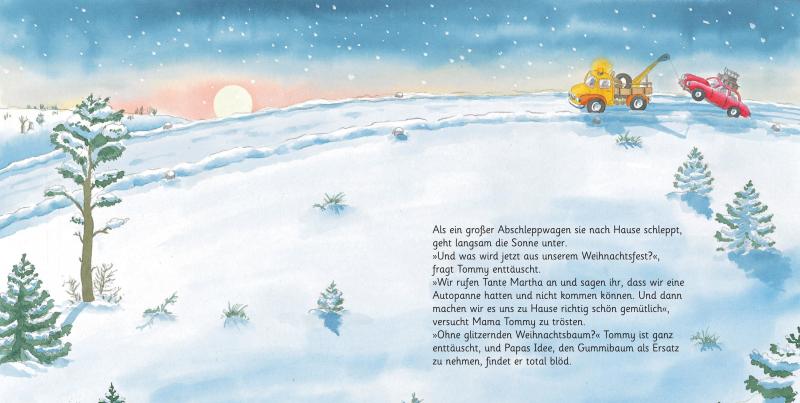 Klaus Baumgart - Lauras Weihnachtsstern (Pappbilderbuch)  Buch