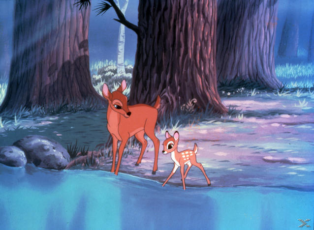 Bambi 1+2, 2 DVDs - DVD