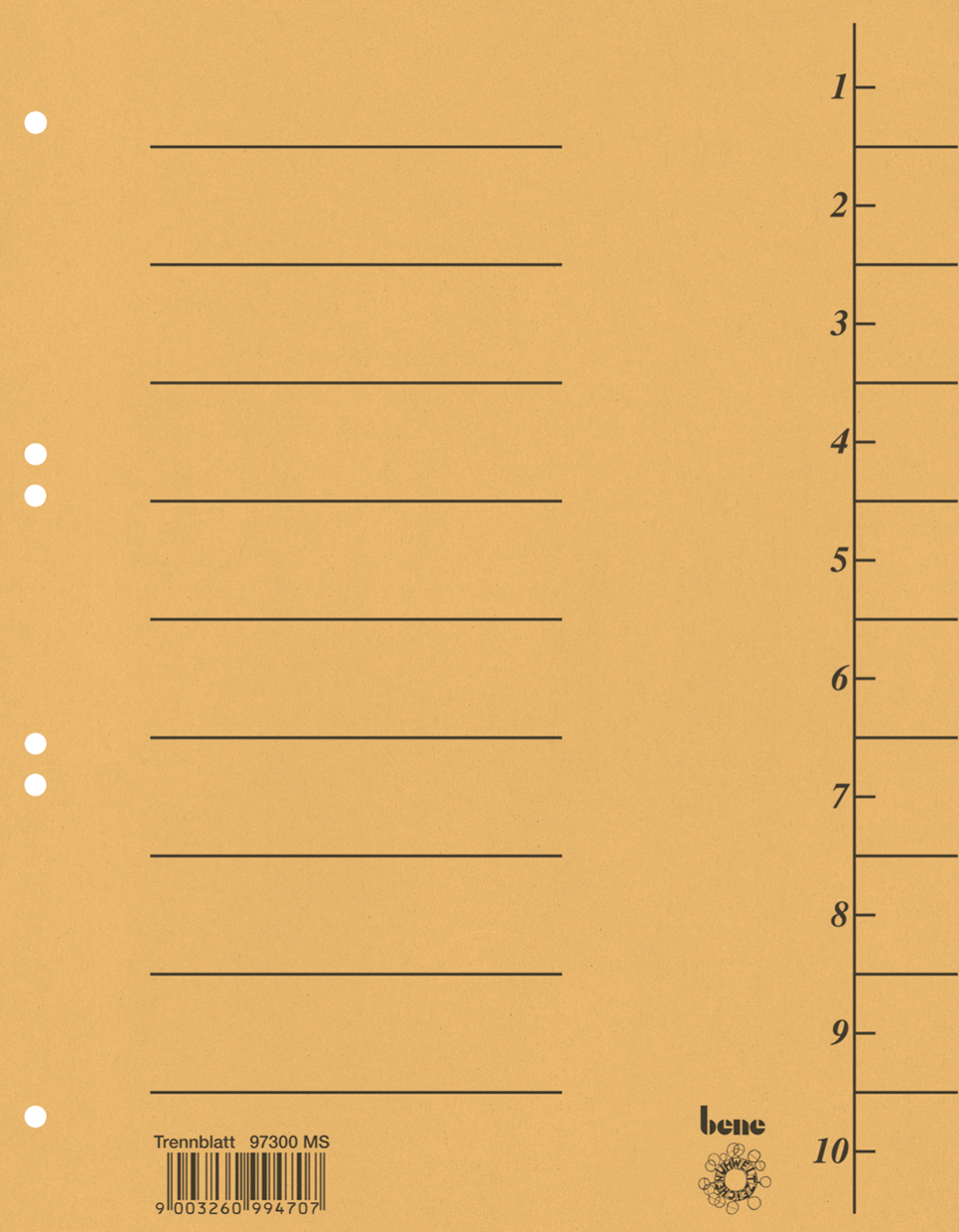 Trennblatt in beige mit schwarzen Linien. Enthält zehn nummerierte Zeilen.