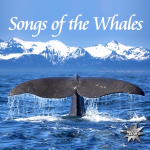 Songs Of The Whales, 1 Audio-CD - CD