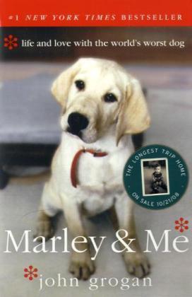 John Grogan: Marley & Me - Taschenbuch