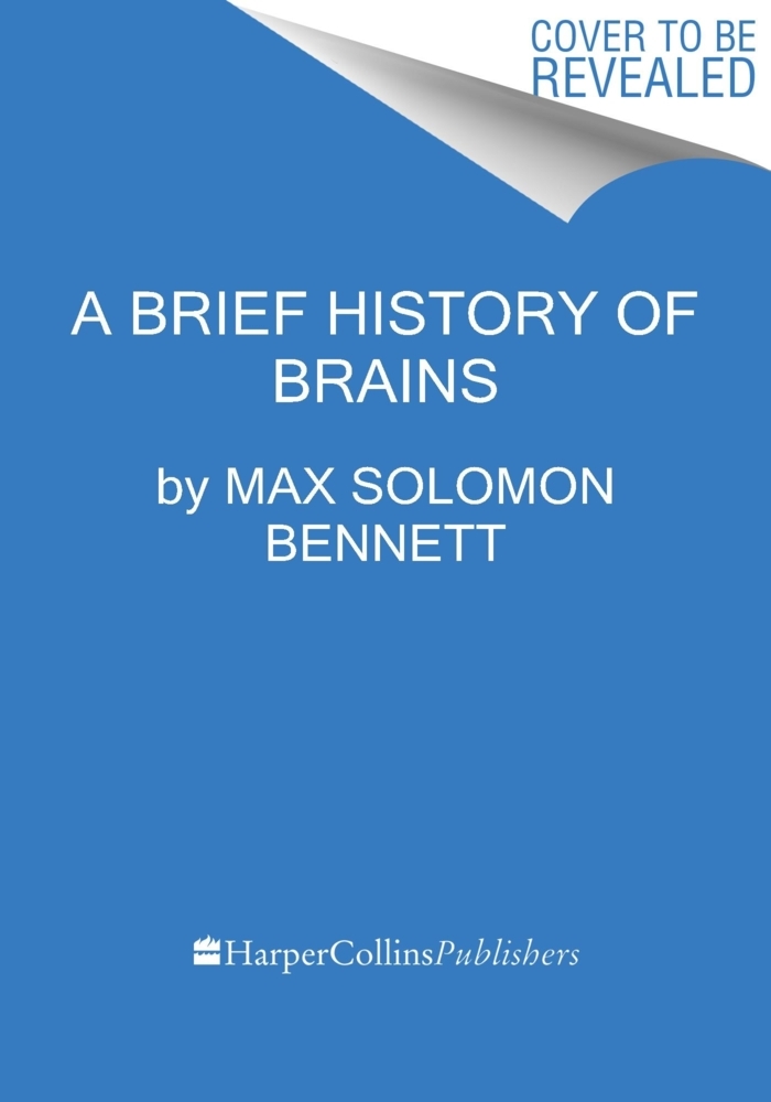 Max Solomon Bennett: A Brief History of Brains - gebunden